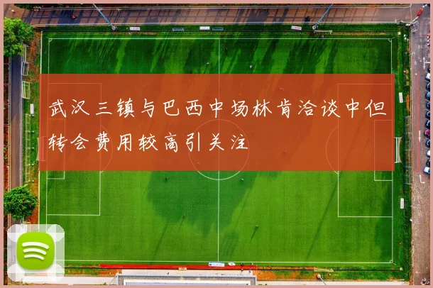 武汉三镇与巴西中场林肯洽谈中但转会费用较高引关注
